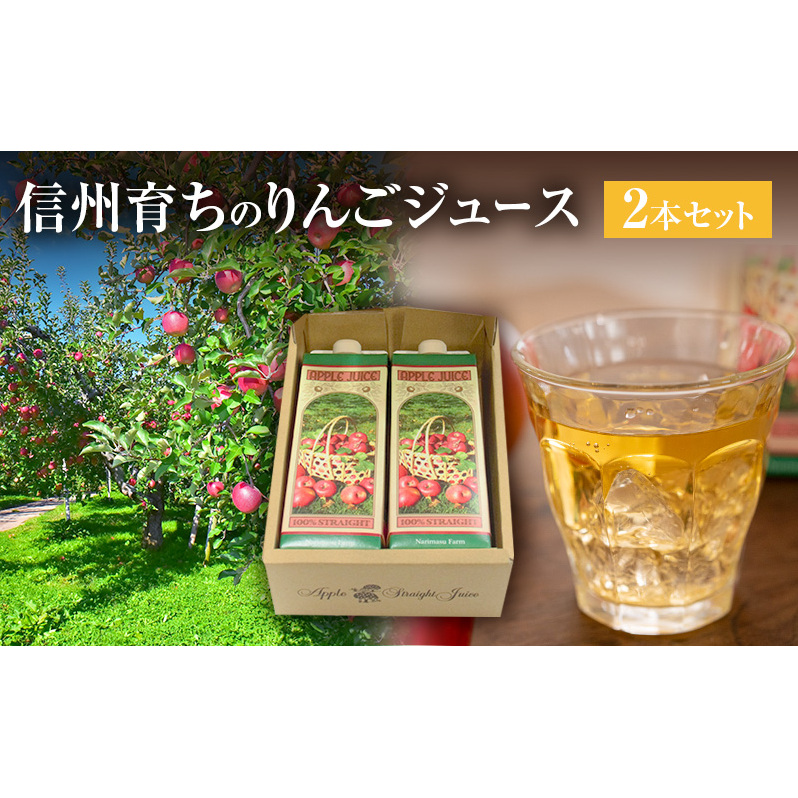 信州育ちのりんごジュース 2本詰 果実飲料 飲料類 飲み物 フルーツジュース アップルジュース 長野市産りんご りんご100％ ストレートジュース コク 