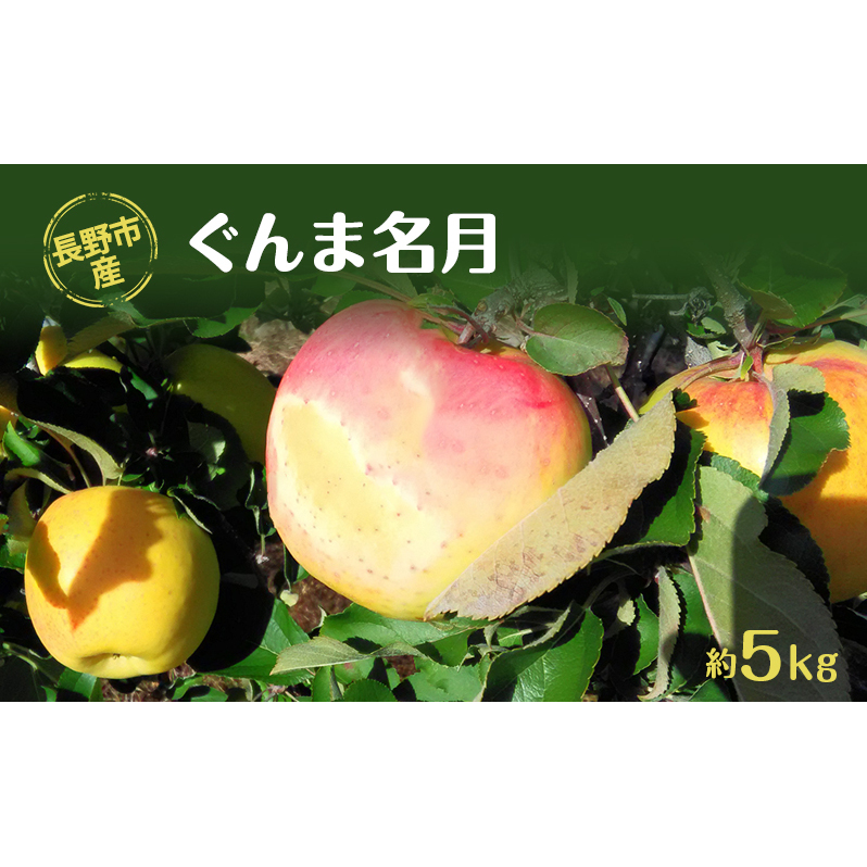 長野市産「ぐんま名月」約5kg 