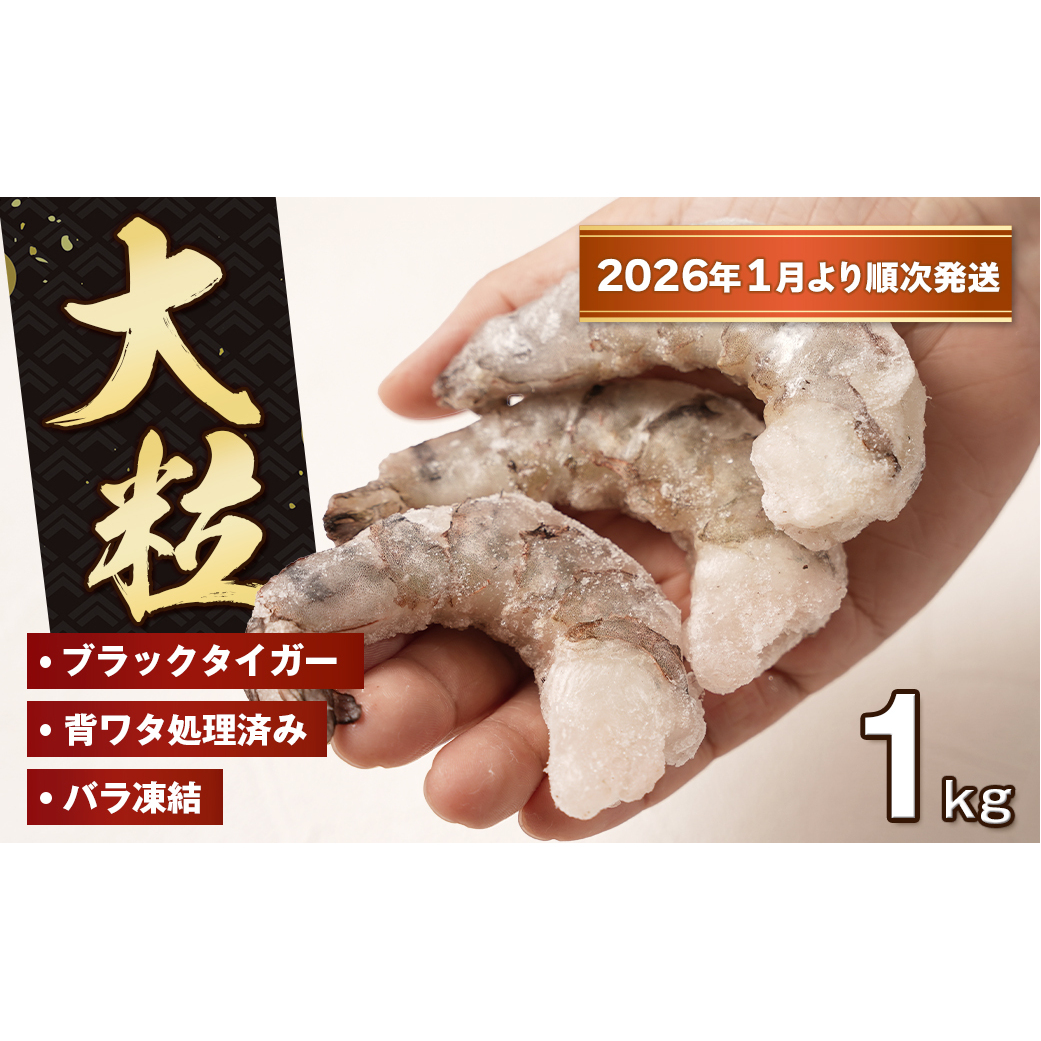 至福の大粒むきえび 背ワタ処理済 1kg【2026年1月より順次発送】 ブラックタイガー 冷凍 ムキエビ  大型 海老