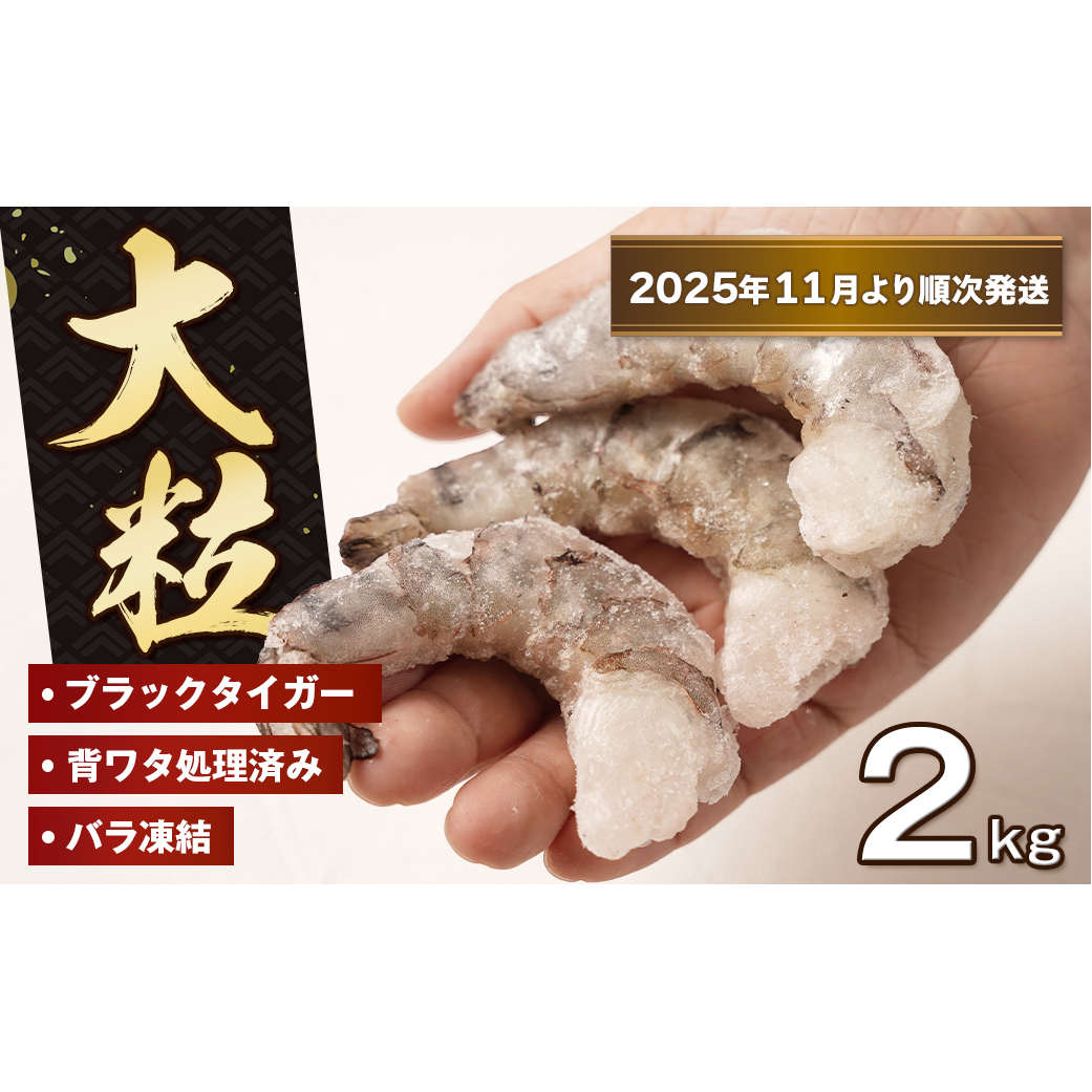 至福の大粒むきえび 背ワタ処理済 2kg(1kg×2袋)【2025年11月より順次発送】 ブラックタイガー 冷凍 ムキエビ  大型 海老