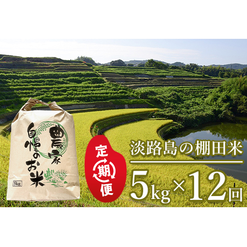 【定期便】淡路島の棚田米　5kg×12回　　[精米 白米]