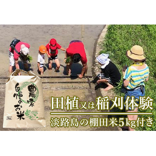 田植又は稲刈体験　淡路島の棚田米5kg付
