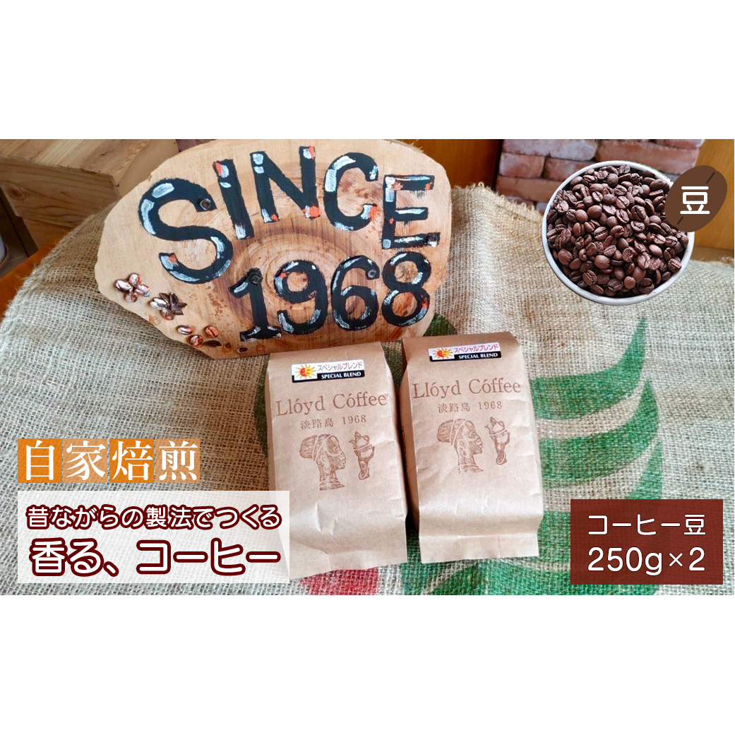 ロイドコーヒースペシャルブレンド(豆)500g(250g×2個)自家焙煎 コーヒー 豆 コーヒー 豆