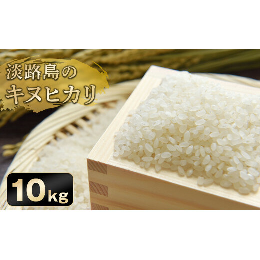 淡路日の出農協 淡路島のキヌヒカリ10kg　　[精米 白米 お米]