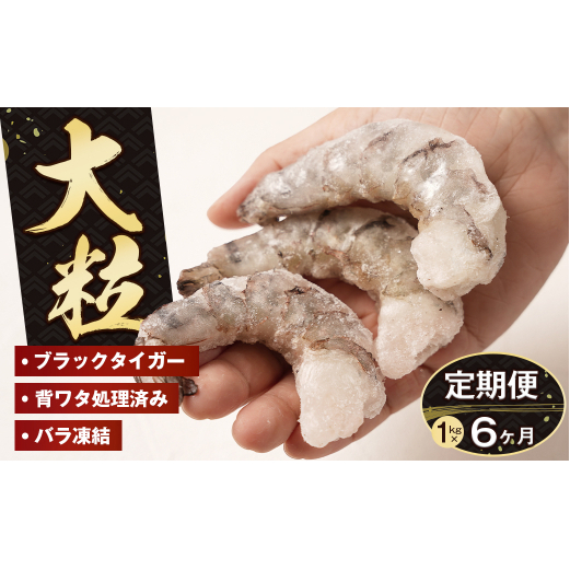 【定期便6ヶ月】至福の大粒むきえび 背ワタ処理済 1kg ブラックタイガー 冷凍 ムキエビ  大型 海老
