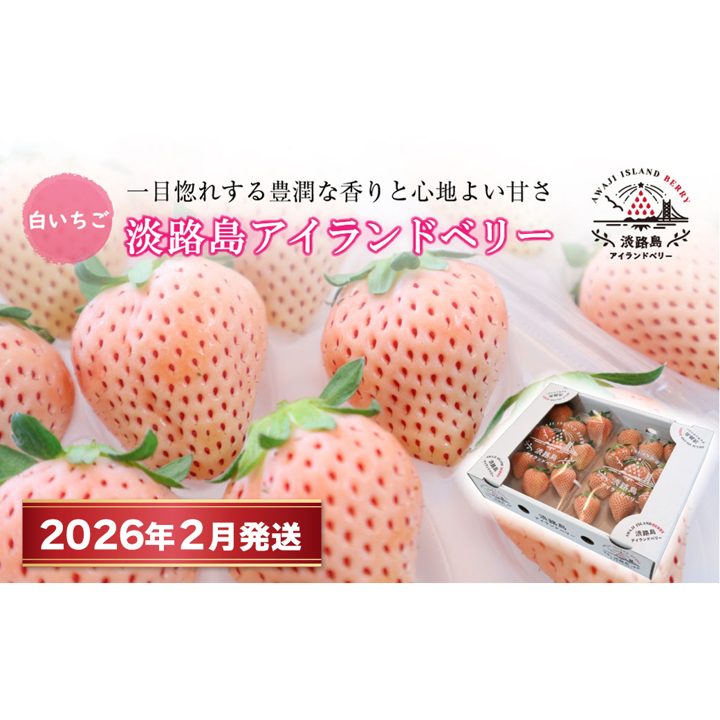 淡路島アイランドベリー 白苺淡雪【2026年2月発送予約受付・お届け日指定不可】　[いちご]