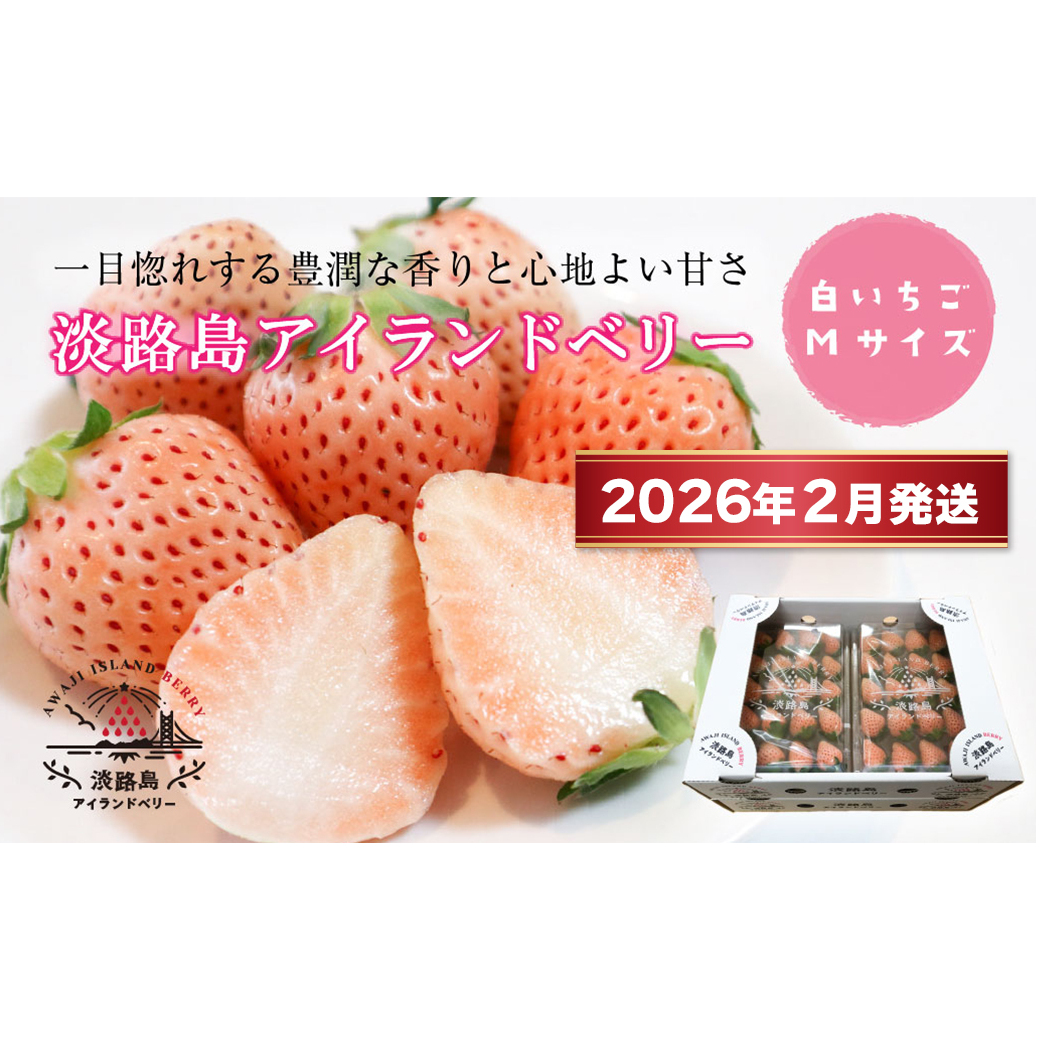 淡路島アイランドベリー　白苺淡雪　Mサイズ【2026年2月発送予約受付・お届け日指定不可】　[いちご]