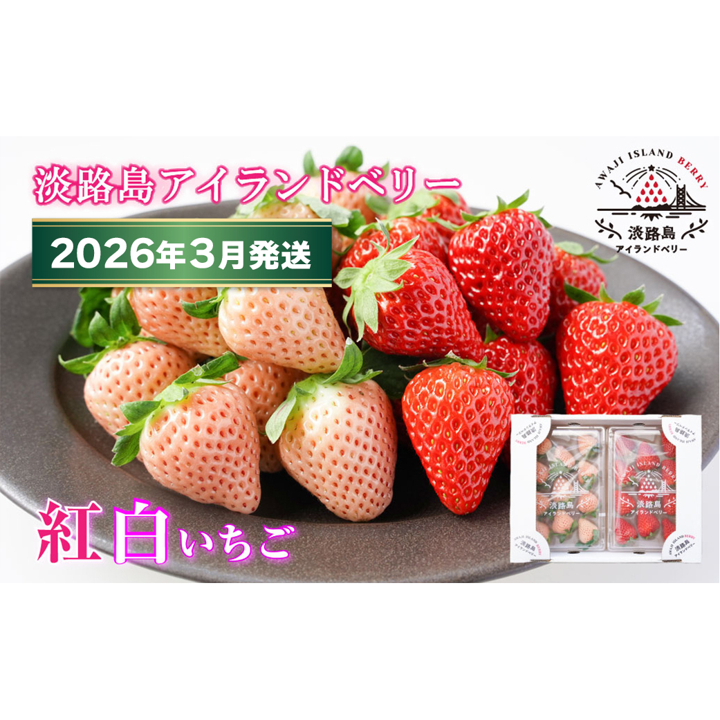 淡路島アイランドベリー　紅白いちご　淡雪/とちおとめ【2026年3月発送予約受付・お届け日指定不可】　[いちご]