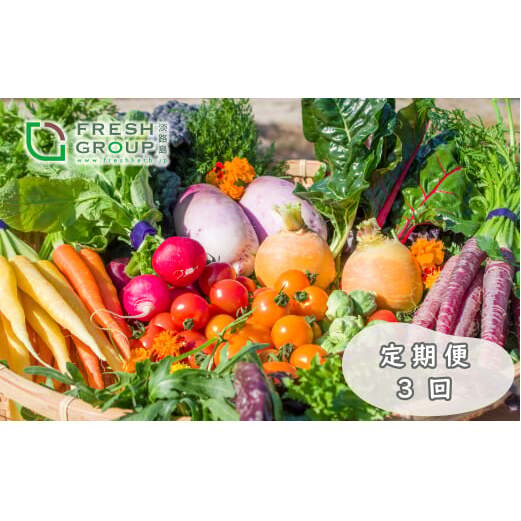 【定期便】彩り野菜と香るハーブセット　３回お届けセット　[野菜セット 野菜詰め合わせ]