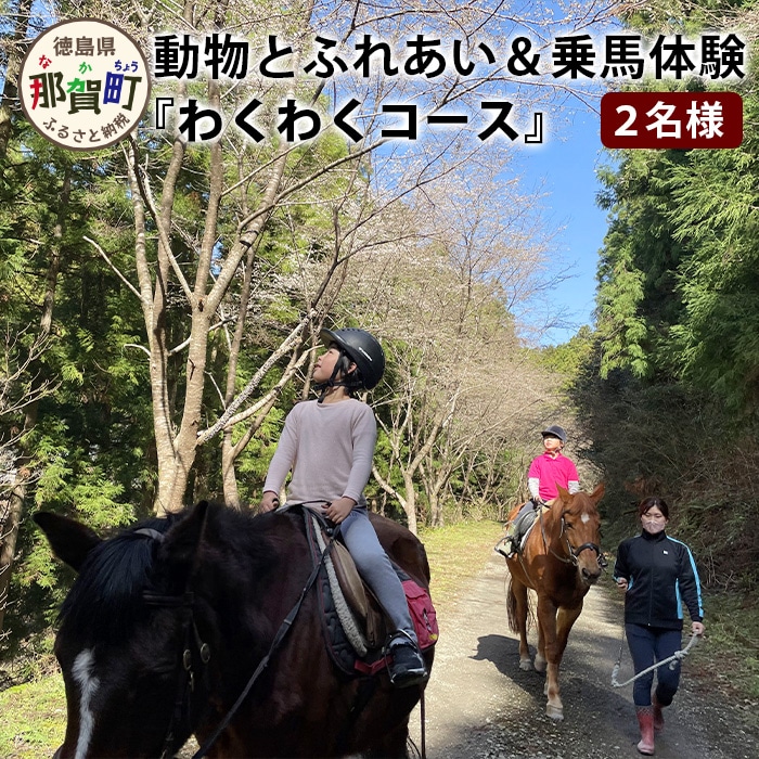 動物ふれあい＆乗馬体験 『わくわくコース』約30分 2名 CC-3