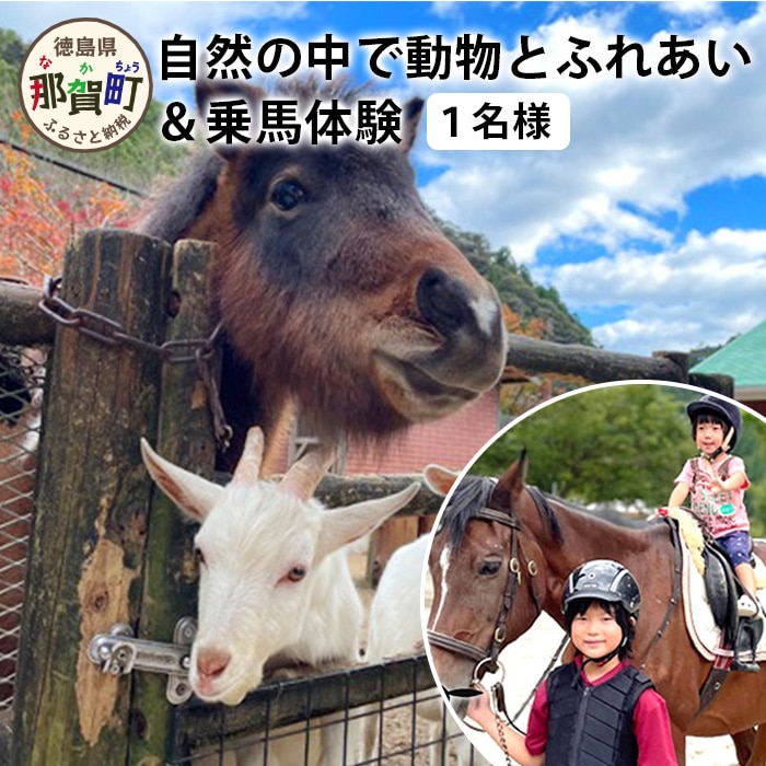 自然の中で動物とふれあい＆乗馬体験（1名） CC-1