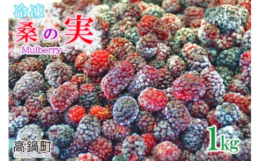 ＜桑の実（冷凍） 1kg＞翌月末迄に順次出荷