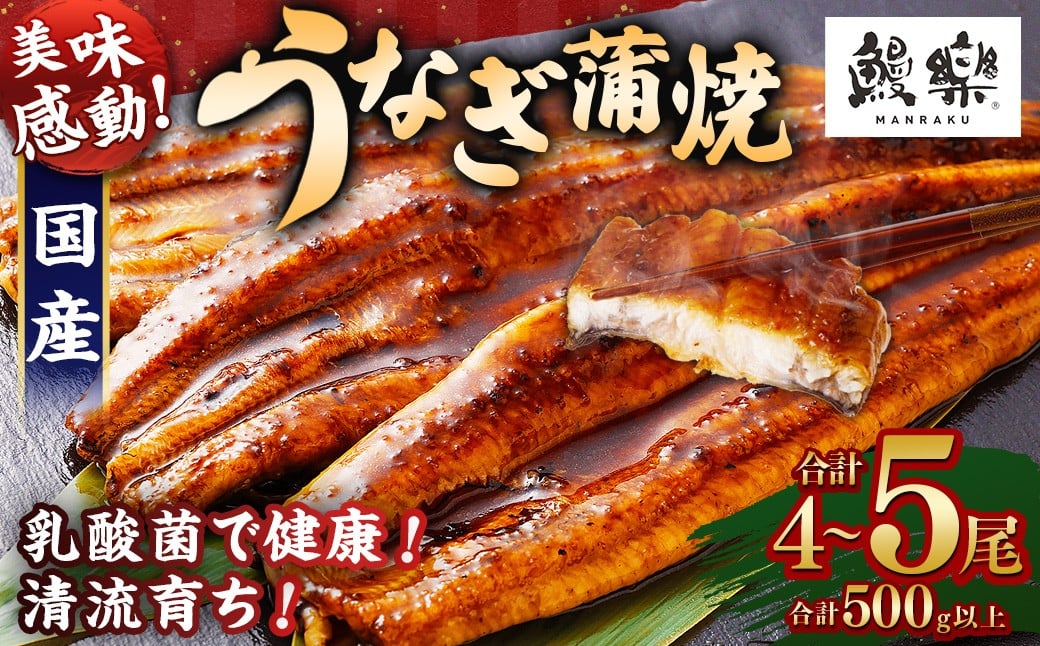 極上鰻!うまい!<うなぎ 国産 うなぎ蒲焼 4~5尾 計500g以上>ふるさと納税 うなぎ 高級 長蒲焼 鰻 夏バテ防止 ウナギ 鰻 かば焼き 蒲焼き 丑の日 タレ 宮崎県産 国産 九州産 宮崎県 高鍋町 送料無料
