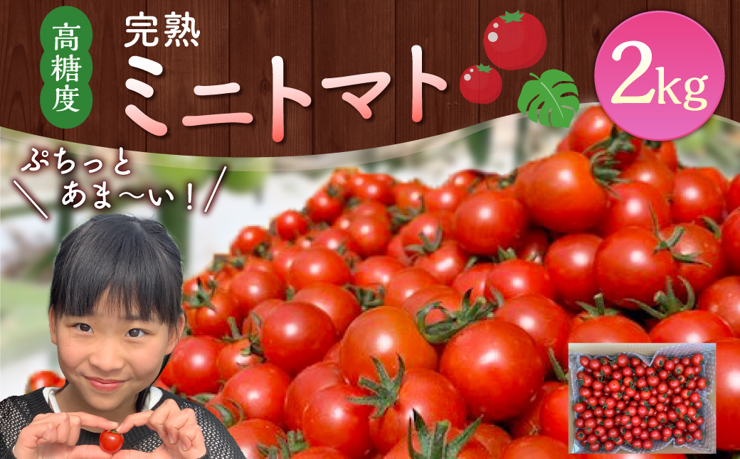 ＜「完熟ミニトマト」ミニトマト 2kg＞2024年5月下旬迄に順次出荷 野菜ソムリエサミット アルル・リリカ共に銀賞受賞！！(2023年11月開催)1回食べてみらんね？宮崎県 高鍋町産 産地直送 有機肥料使用 高糖度 西森農園
