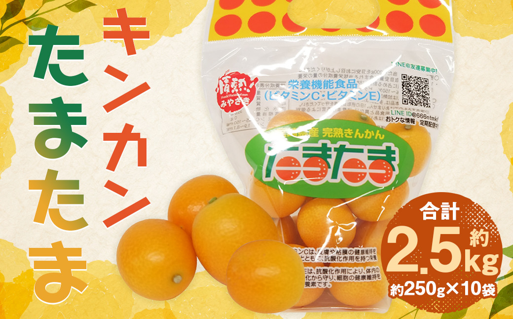 ＜宮崎県産【2024年数量限定】大粒 キンカン たまたま 250g 小袋 10袋入り＞ ※2024年1月中旬～2月下旬迄に順次出荷します。