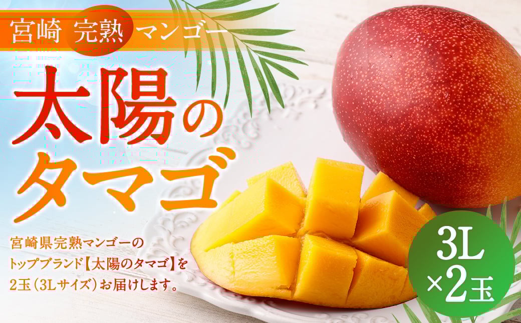 ＜宮崎県 完熟マンゴー【太陽のタマゴ】3L×2玉 900g＞2024年4月下旬～7月中旬迄に順次出荷
