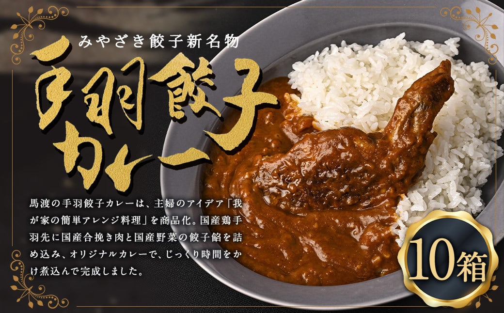 〈 みやざき餃子新名物 手羽餃子カレー 10箱 〉2～3週間以内に順次出荷 カレー 餃子 ギョウザ ギョーザ 手羽餃子 レトルト 常温保存 餃子の馬渡