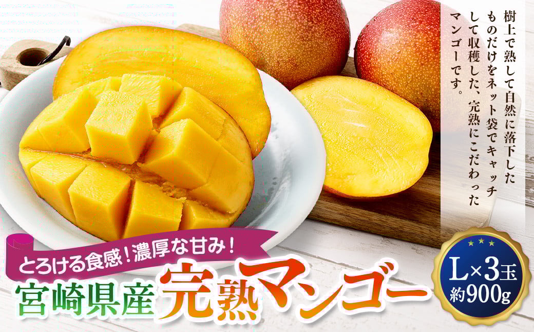 ＜宮崎県産完熟マンゴー L×3玉（約900g）＞2025年4月中旬～7月末までに順次出荷