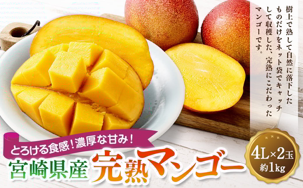 ＜宮崎県産完熟マンゴー 4L×2玉（約1kg）＞2025年4月中旬～7月末までに順次出荷 果物 くだもの フルーツ アーウィン マンゴー デザート 甘味 完熟 宮崎