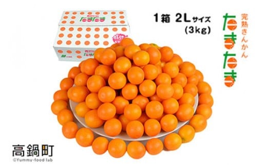 ＜“厳選”完熟きんかん「たまたま」2L×3kg 1箱＞2025年1月下旬～2月下旬迄に順次出荷 金柑 柑橘 果物