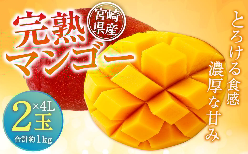 ＜宮崎県産 完熟マンゴー 4L×2玉(合計 約1kg)＞ ※2025年5月上旬～7月中旬迄に順次出荷します。 マンゴー 果物 くだもの フルーツ 完熟 南国