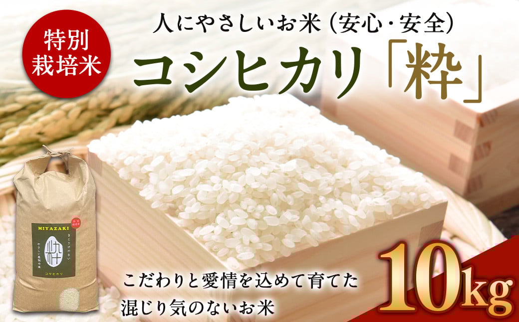 <令和6年度 特別栽培米「粋」コシヒカリ 10kg> ※入金確認後、翌月末迄に順次出荷します。 こしひかり お米 米 白米 精米 宮崎県 高鍋町