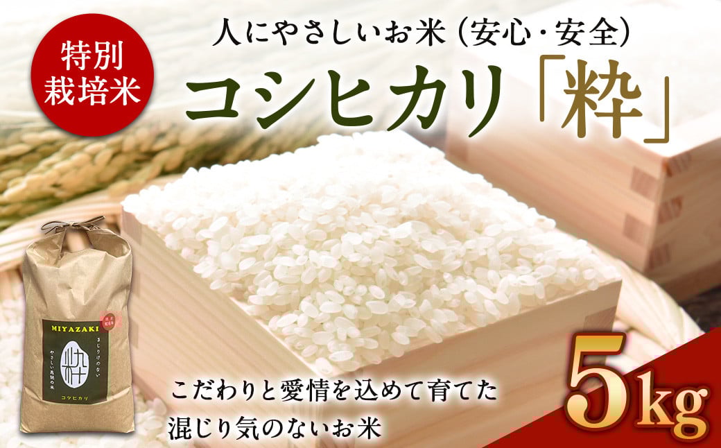 <令和6年度 特別栽培米「粋」コシヒカリ 5kg> ※入金確認後、翌月末迄に順次出荷します。 こしひかり お米 米 白米 精米 宮崎県 高鍋町