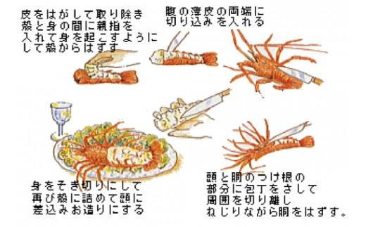 活き 伊勢海老Ｂコース 3～4尾（約800～850g） 山金商店／ 伊勢えび エビ 海老 伊勢志摩産 | 三重県南伊勢町 | JRE MALL ふるさと納税