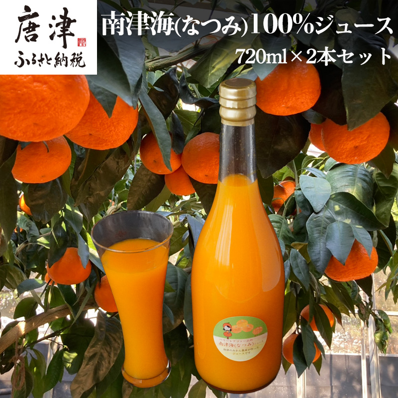 南津海(なつみ)100% 720ml×2本セット みかんジュース 飲料 飲み物 ソフトドリンク 蜜柑 ミカン オレンジジュース