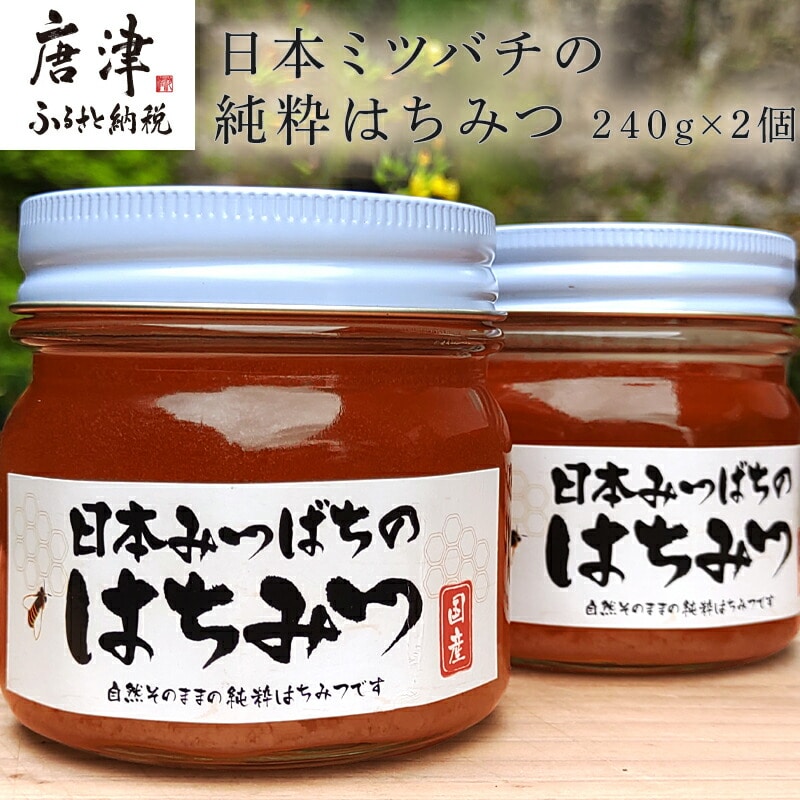 日本ミツバチの純粋はちみつ 240g×2個 (合計480g) 瓶 自然 蜜