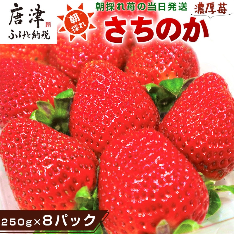 『先行予約』【令和8年2月より順次発送】濃厚苺 さちのか 250g×8パック(合計2kg) 濃厚いちご 苺 イチゴ 果物 フルーツ ビタミン