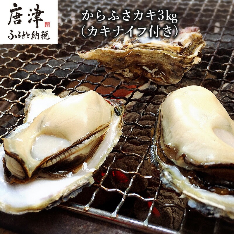 『予約受付』【令和8年3月上旬発送】佐賀県唐津市唐房産 からふさカキ3kg (カキナイフ付き) レシピ 牡蠣 BBQ アウトドア