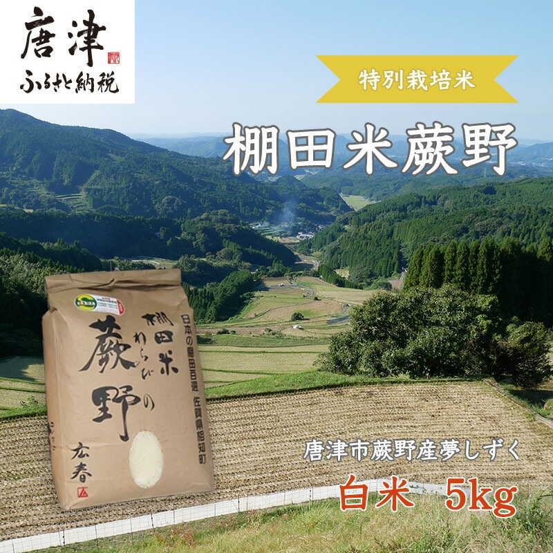 『先行予約』【令和7年産新米】特別栽培棚田米「蕨野」5kg×1袋(合計5kg) 家庭排水が一切入らない自然水で作られたお米 10日に1回精米で新米のような味わい
