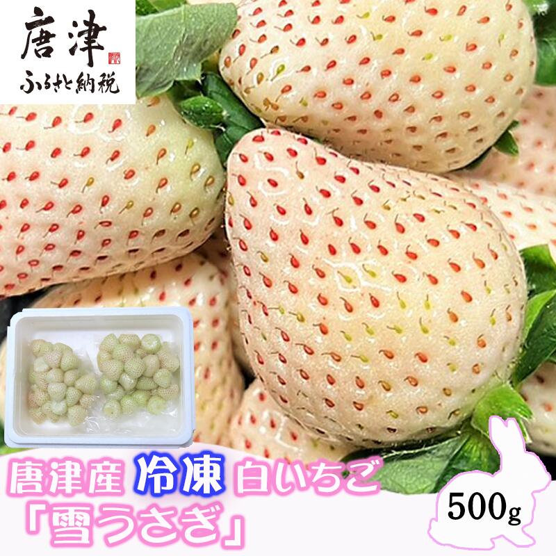 『先行予約』【6月中旬より発送予定】唐津産 冷凍白いちご「雪うさぎ」500g×2袋(合計1kg) 真空包装 加工品用 苺 イチゴ 希少 果物 フルーツ