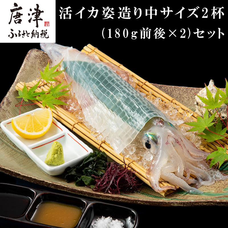 活イカ姿造り中サイズ2杯(180g前後×2)セット! 鮮度抜群 捌きたて瞬間冷凍 いか活造り 刺身 簡単 呼子 ギフト