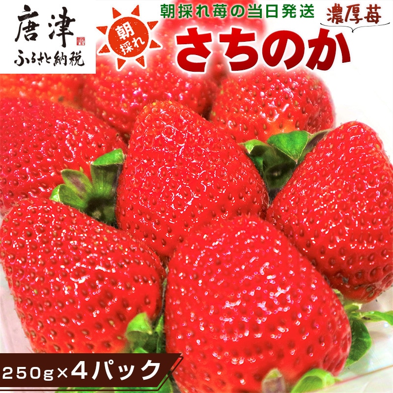 『先行予約』【令和8年2月より順次発送】濃厚苺 さちのか 250g×4パック(合計1kg) 濃厚いちご 苺 イチゴ 果物 フルーツ ビタミン