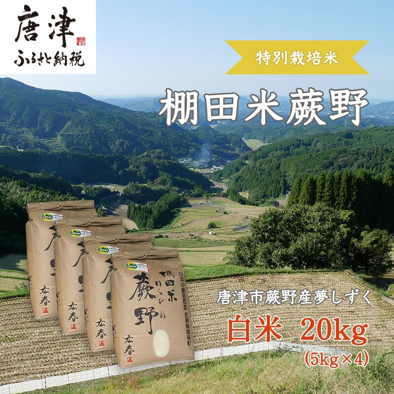 『先行予約』【令和7年産新米】特別栽培棚田米「蕨野」5kg×４袋(合計20kg) 家庭排水が一切入らない自然水で作られたお米 10日に1回精米で新米のような味わい