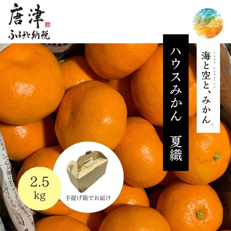 『先行予約』【令和8年6月より順次発送】夏の極上ハウスみかん「夏織」2.5kg 手提げ箱入り～海と空と、みかん～甘くてとろける夏の果物 ミカン フルーツ 柑橘 ギフト