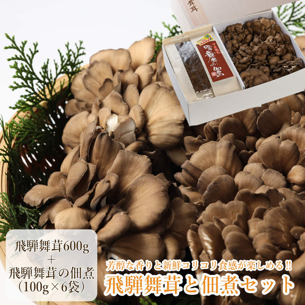 飛騨舞茸と佃煮のセット(飛騨舞茸 600g ・舞茸の佃煮 600g(100g×6袋))[60-1]