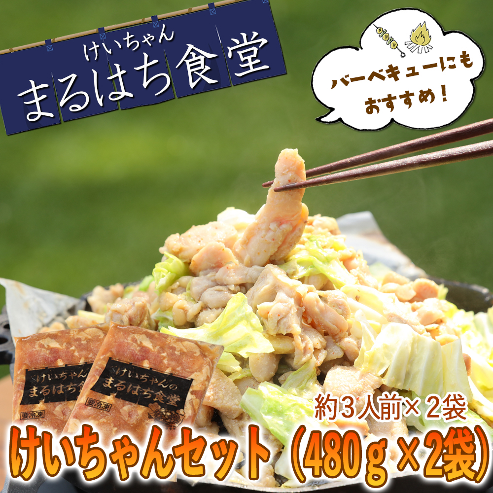 鶏ちゃん発祥の名店「まるはち食堂」こだわり抜かれた下呂の味!!けいちゃん 480g×2(約6人前)[48-1]