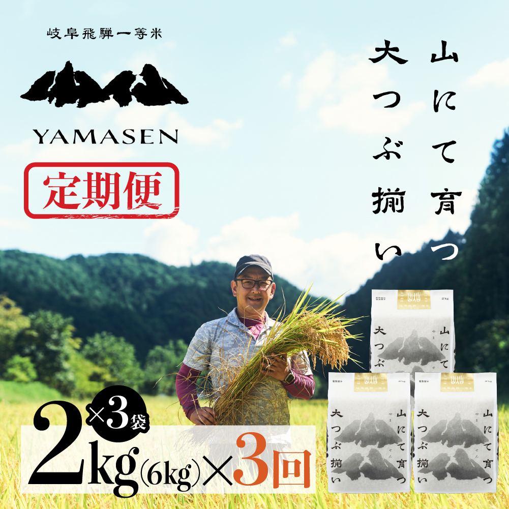 (新米)令和6年産米[定期便]山仙(いのちの壱)2kg×3(6kg)×3回 すがたらいす 下呂市金山産 2024年産 毎月 6キロ×3カ月 お米 精米下呂温泉 下呂市 米 ブランド米[51-G]