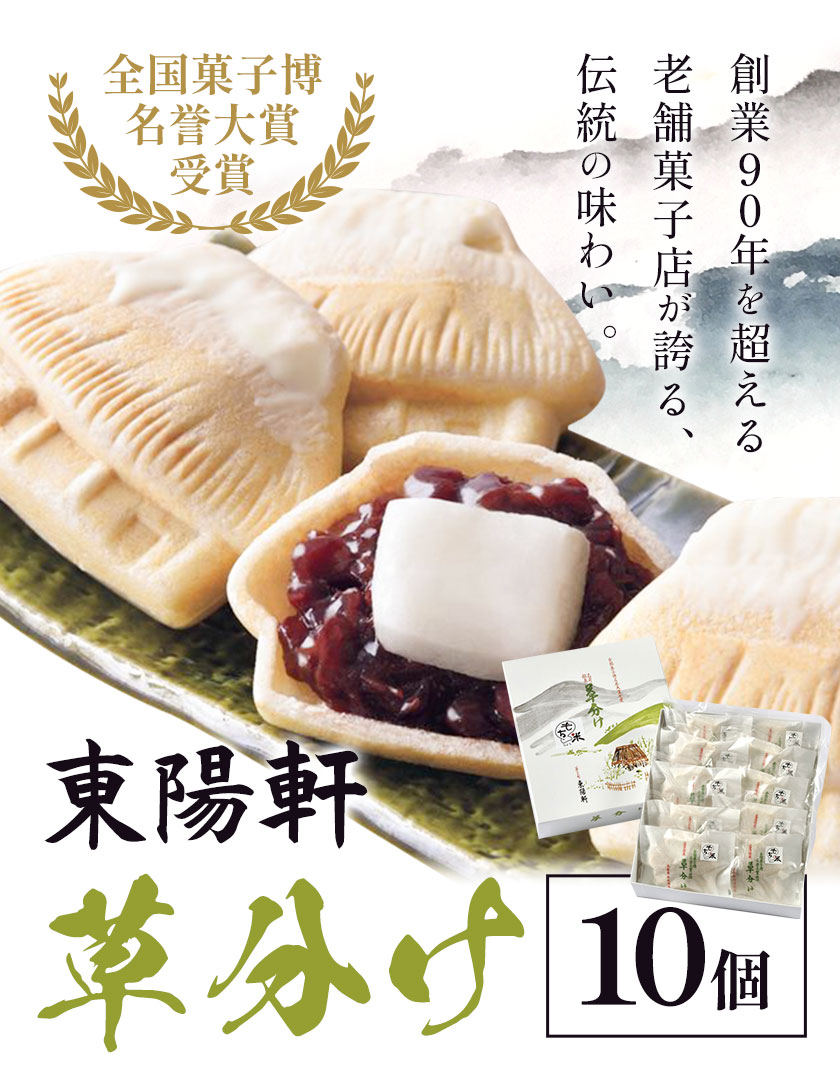 草分け 10個 セット[30日以内に出荷予定(土日祝除く)] 菓子司 東陽軒 北海道 名寄市 和菓子 もなか 最中 モナカ 菓子---nayoro_tyk_2_10p---