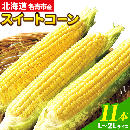 令和7年産 北海道名寄産スイートコーンイエロー L-2Lサイズ11本 [2025年8月中旬-9月上旬頃出荷予定] NPO法人なよろ観光まちづくり協会 北海道 とうもろこし トウモロコシ L-2Lサイズ 取り寄せ 新鮮 産地直送 甘い 糖度 冷蔵 レビュー高評価---nayoro_nkm_2_11p---