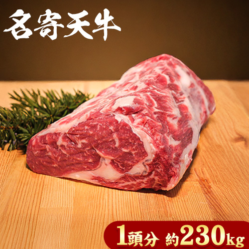 北海道 名寄市 ニチロ畜産 なよろ天牛 1頭分《ご寄附から2ヶ月前後》北海道 名寄市 牛 牛肉 ロース ヒレ バラ モモ カタ ウデ バーベキュー ステーキ 焼肉 炒め物---nayoro_mnt_2_230k---