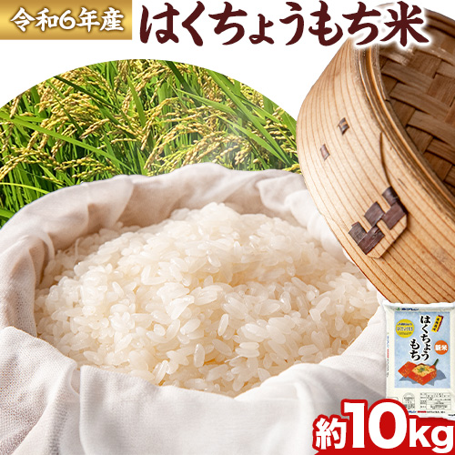 令和６年産 はくちょうもち米 10kg お米 こめ もち米 観光まちづくり協会《10月下旬頃出荷予定》北海道 名寄市 白米 精米 餅 ご飯 ごはん 国産---nayoro_nkm_11_10k---