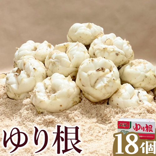 令和7年度産 北海道名寄産 ゆり根 Lサイズ18個入り [2025年10月下旬〜11月中旬頃出荷]---nayoro_nkm_10_18p---