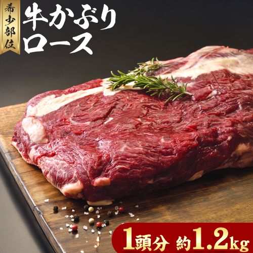 希少部位「かぶりロース」まるまる1頭分!!!! 平均 約1.2kg(牛1頭からとれるかぶり部位1.2kg程度)[60日以内に出荷予定(土日祝除く)]北海道 名寄市 牛 牛肉 ロース バーベキュー ステーキ 焼肉 炒め物---nayoro_mnt_1_1.2k---