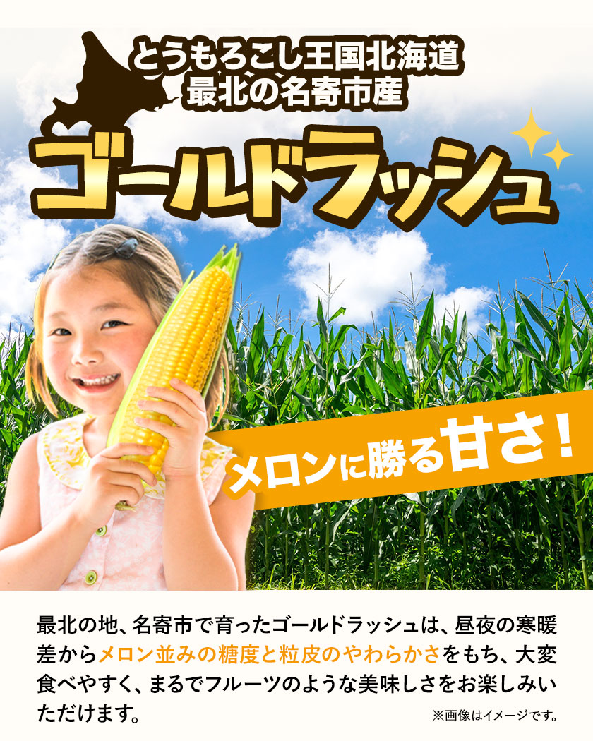 来年分先行予約 受付中 【2025年8月上旬-9月中旬頃出荷】 とうもろこし 極甘 スイートコーン 「 ゴールドラッシュ 」 5kg 以上  11～13本---nayoro_loc_10_5k--- | 北海道名寄市 | JRE MALLふるさと納税