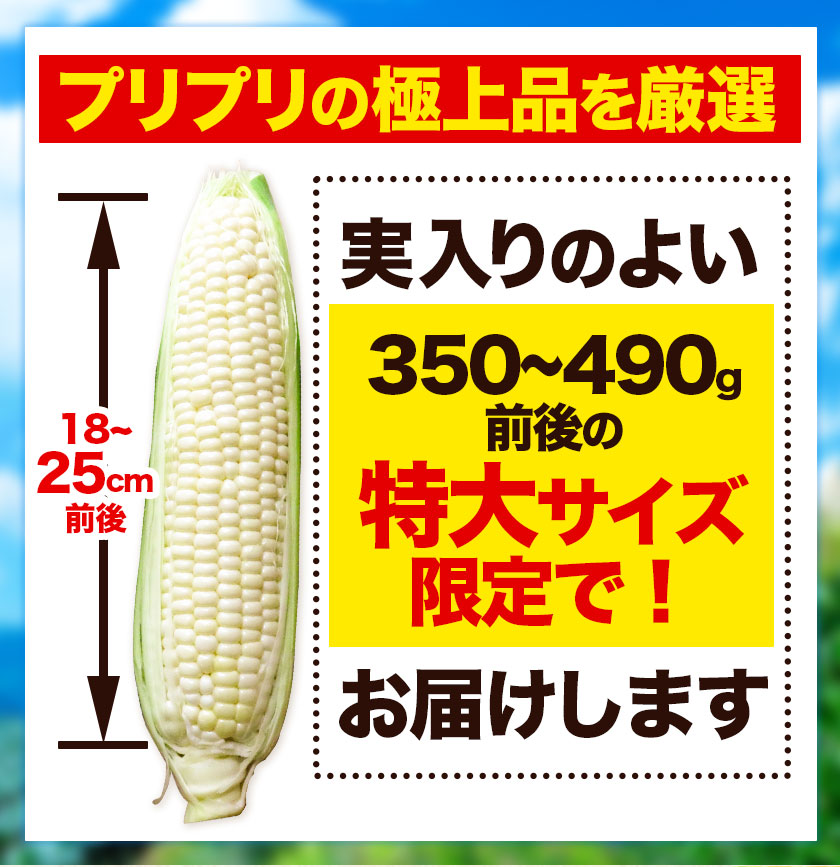 特大】 とうもろこし 極甘 ホワイトコーン 「 なよろホワイト 」 5kg 以上 11～13本 特大 サイズ《 7月 下旬- 9月 中旬頃出荷予定》  朝採れ 真空予冷 冷蔵 高糖度 夏野菜 セット 今が旬 トウモロコシ ギフト お中元 コーン---nayoro_loc_3_5k--- | 北海道名寄市  | JRE ...