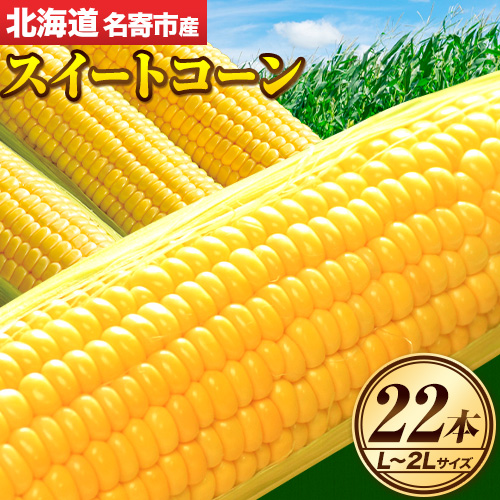 令和7年産 北海道 名寄産 スイートコーン イエロー L〜2Lサイズ 22本 [[2025年8月中旬-9月上旬頃より順次出荷予定] NPO法人なよろ観光まちづくり協会 北海道 とうもろこし トウモロコシ Lサイズ 2Lサイズ 取り寄せ 新鮮 産地直送 甘い 糖度 冷蔵---nayoro_nkm_22_22p---